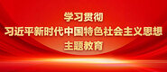 草逼操学习贯彻习近平新时代中国特色社会主义思想主题教育_fororder_ad-371X160(2)